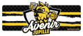 CLUB AVENIR JUPILLE // STAGE SPORTIF
